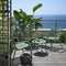 Outdoor Dining Tables - hospitality