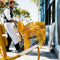 Stackable Outdoor Dining Chairs - hospitality
