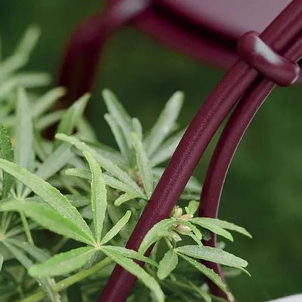 1900 Carbriolet Armchair - hospitality