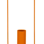 Candied Orange