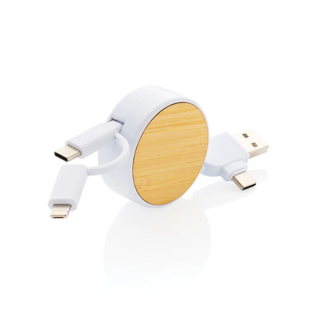  with multiple charging and data ports
