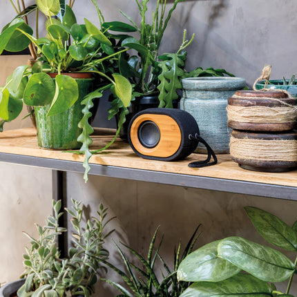  perfect for portable sound.