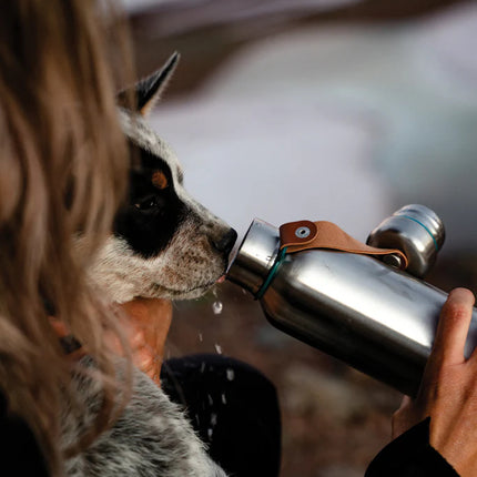  showing sleek stainless steel design and secure lid for hot and cold drinks.