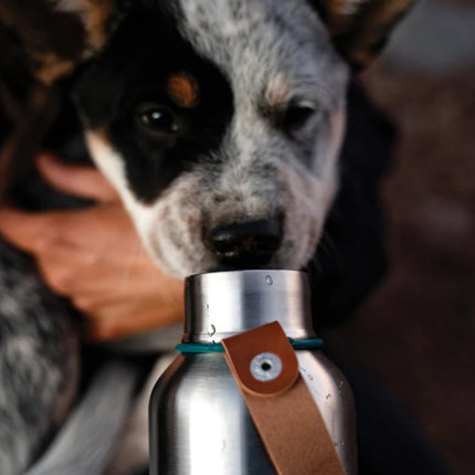 Black + Blum insulated large 750ml water bottle in stainless steel with a sleek