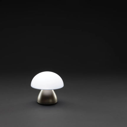 Luming RCS recycled plastic USB rechargeable table lamp from XD Collection