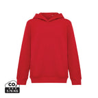 30% Recycled & 70% Organic Cotton / red / 64 x 50 x 0.5 cm