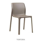Tortora