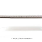 Tortora