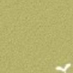 Willow Green