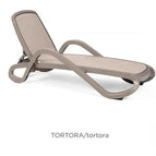 Tortora
