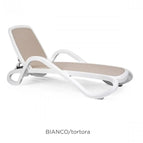 Bianco Tortora