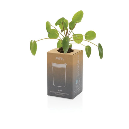 Alya RCS Re-steel tumbler 300ML - hospitality