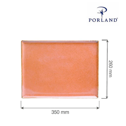 Amber rectangular tray, 350x260mm - hospitality
