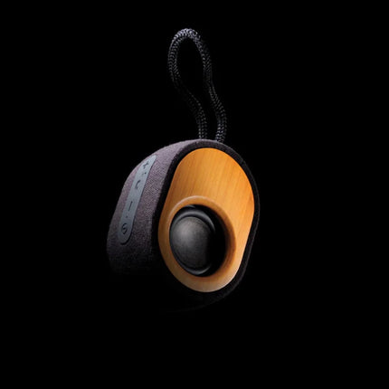 Bamboo X speaker - hospitality