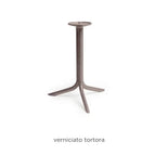Tortora / No Treatment