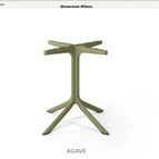 Agave