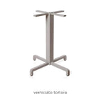 Tortora / No Treatment