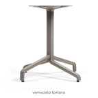 Tortora / Without Sopecial Treatment