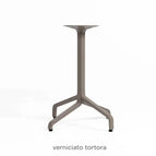 Tortora / Without Treatment
