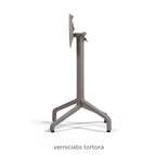 Tortora / No Treatment