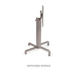 Tortora / No Treatment