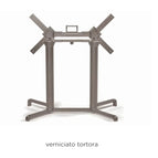 Tortora / No Treatment