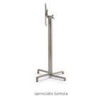Tortora / No Treatment
