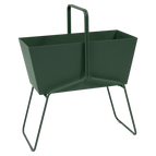 Cedar Green