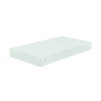 Ice Mint