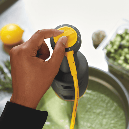 BigRig hand blender HMI009-CE, 230mm - hospitality