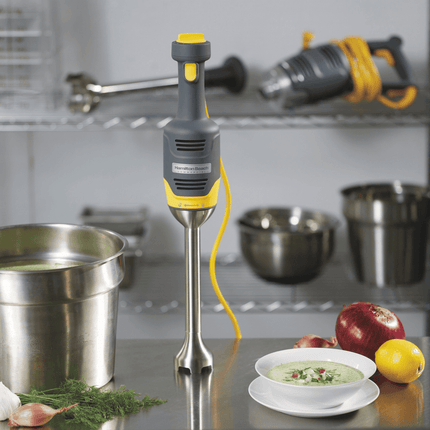 BigRig hand blender HMI009-CE, 230mm - hospitality