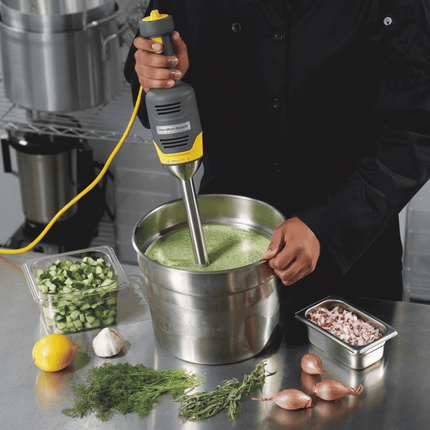 BigRig hand blender HMI009-CE, 230mm - hospitality