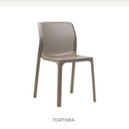 tortora