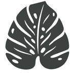 ANTRACITE