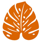 Candied Orange