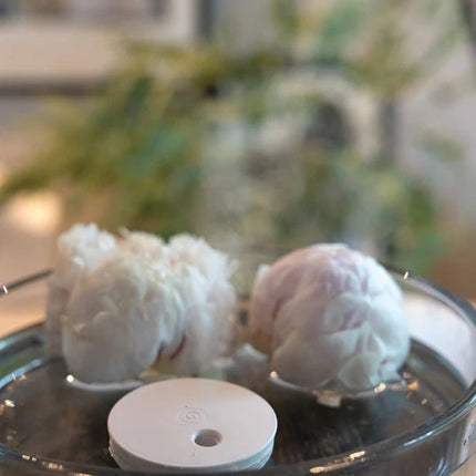 Breevia RCS rplasic re-chargeable floating humidifier - hospitality