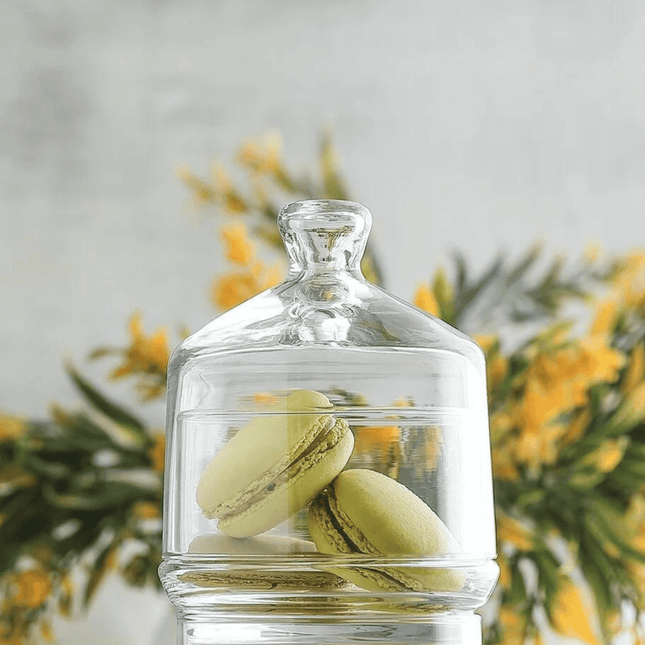 Brighton glass container with cover 285 ml, LAV - hospitality