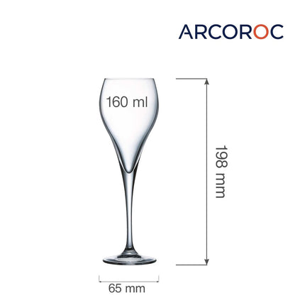 Brio Flute Champagne Glass - Modern Design With Ultra Thin Rim And Conical Bowl 160ml - hospitality