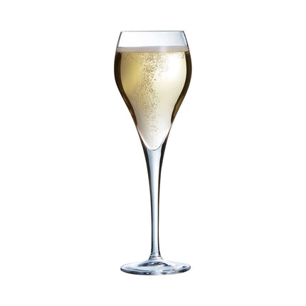 Brio Flute Champagne Glass - Modern Design With Ultra Thin Rim And Conical Bowl 160ml - hospitality
