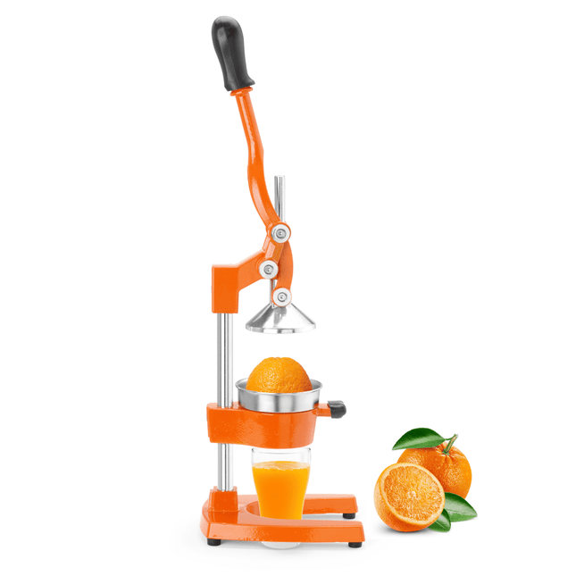 Citrus Juicer, 180x225x(h)510mm - hospitality
