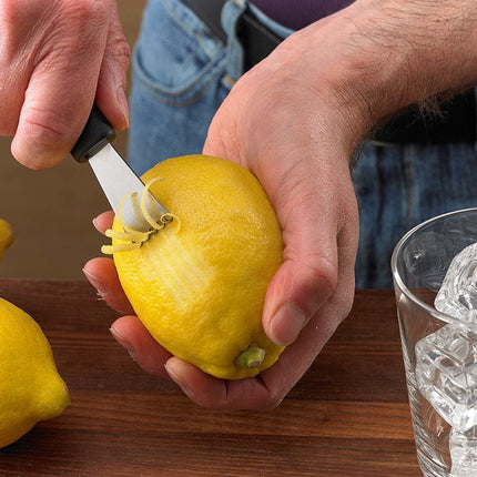 Citrus Zester, 143mm - hospitality