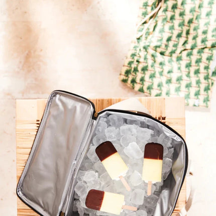 City Cooler Collection Insulated Picnic Bag With Fine Leather Trim And Two Tone Fabric - hospitality