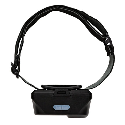 COB and LED headlight - hospitality