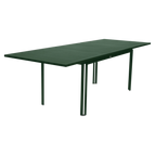 Cedar Green
