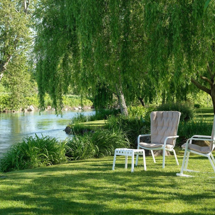 CUSCINO FOLIO COMFORT - hospitality