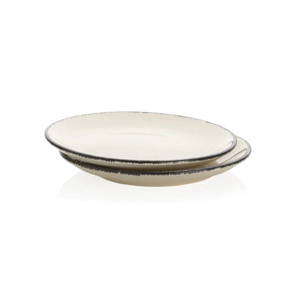 Dinner plate set of 2 - hospitality