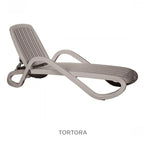 Tortora