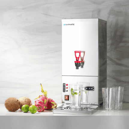 Evergreen automatic, instantaneous water boiler, 10l - hospitality