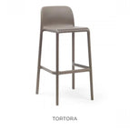Tortora
