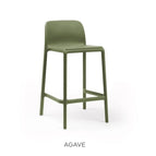 Agave
